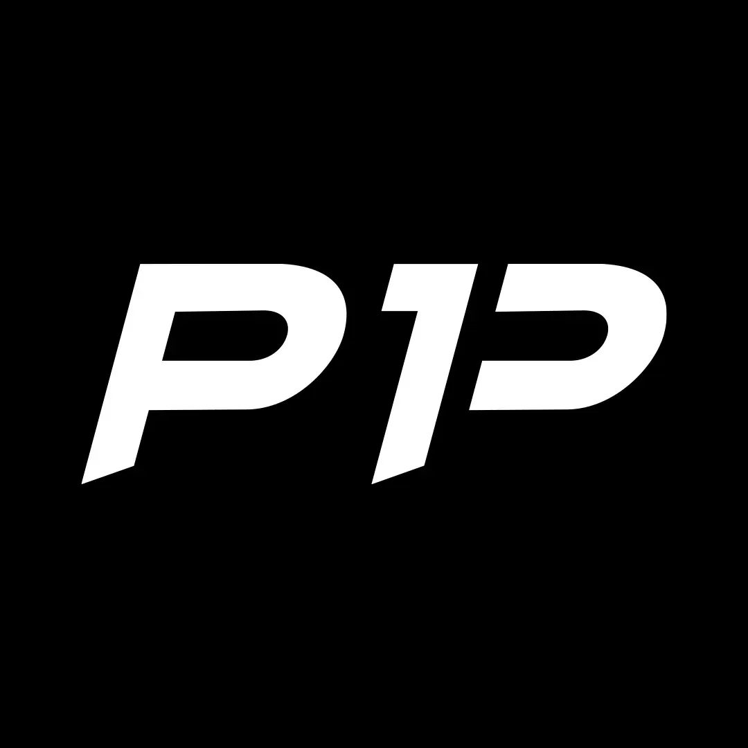Player ONE Performance